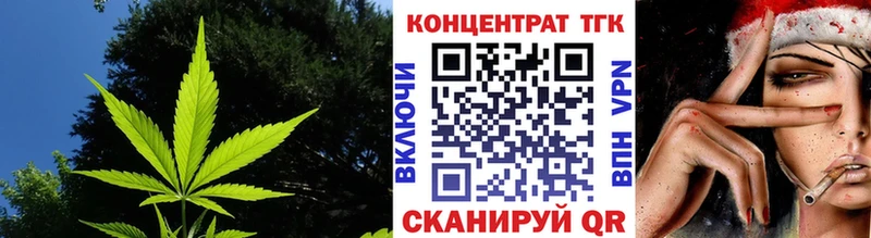 ТГК Wax  Железноводск 
